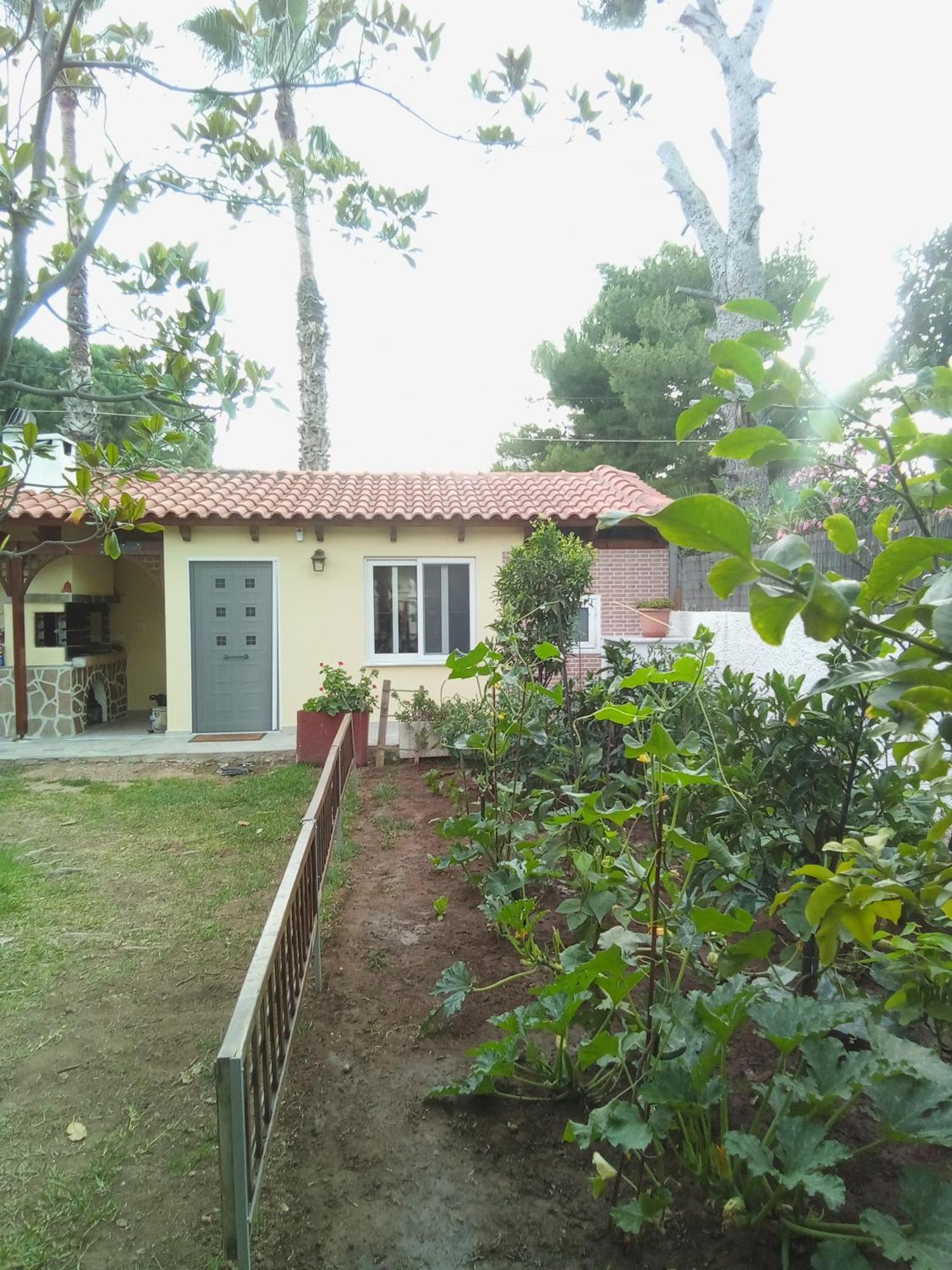 Anna'S Apartment And Studio Artemida  Luaran gambar